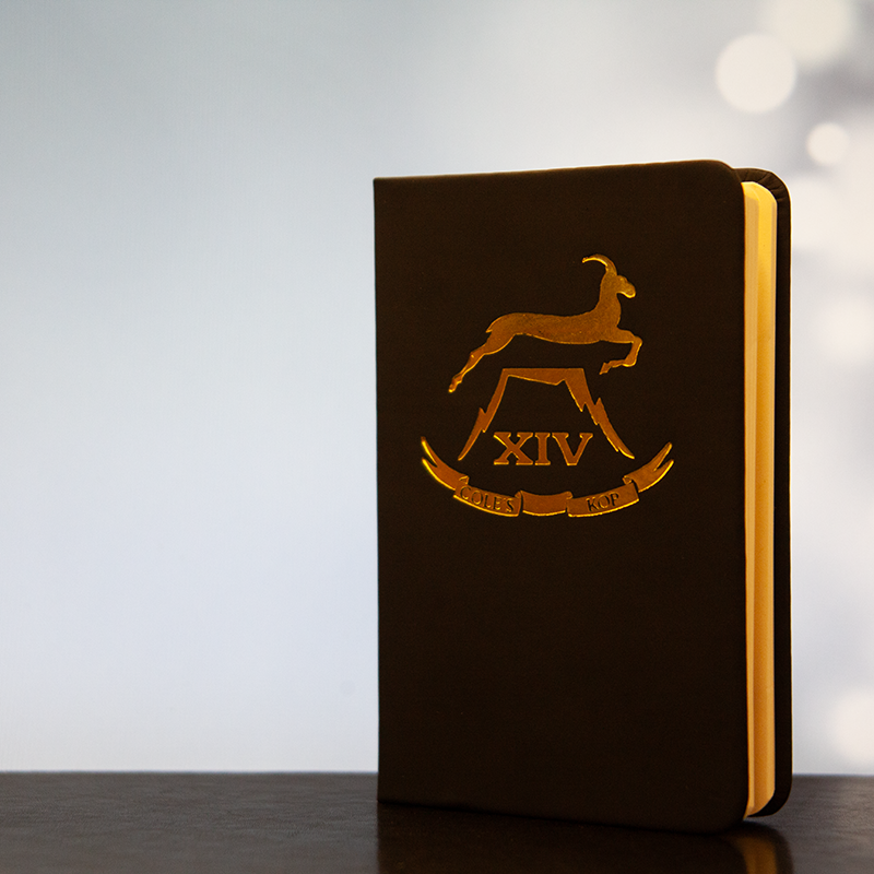 Gold Embossed Notebook 14 Battery Ra